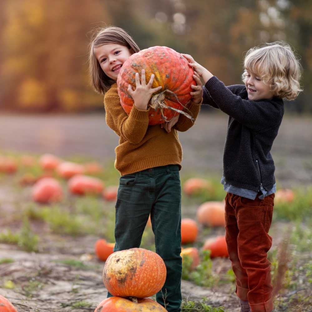 Two kids at the pumpkin patch Two little boys having fun in a pumpkin patch
